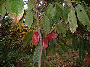 Tanzania