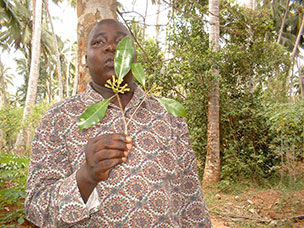 Tanzania
