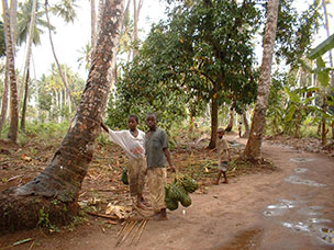 Tanzania