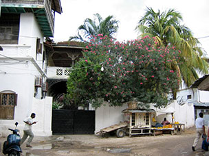 Tanzania