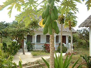 Tanzania