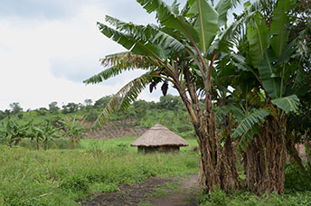 Uganda