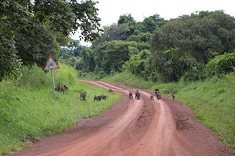 Uganda