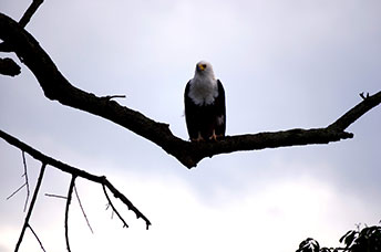 Uganda