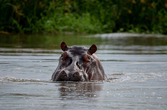 Uganda