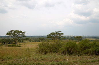 Uganda