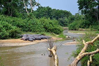 Uganda