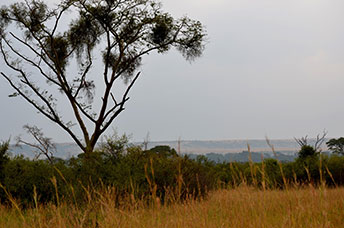 Uganda