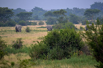 Uganda