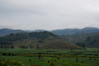 Repubblica Democratica del Congo