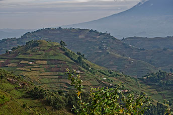 Repubblica Democratica del Congo