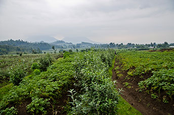 Rwanda