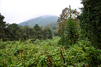 Rwanda