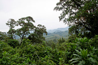Rwanda