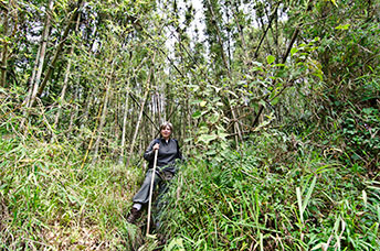 Rwanda