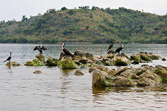 Rwanda
