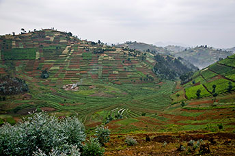 Rwanda