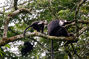 Rwanda