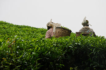 Rwanda