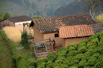 Rwanda