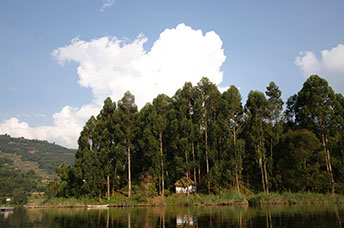 Uganda