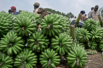 Uganda