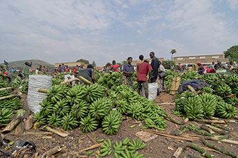 Uganda