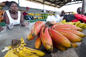 Uganda