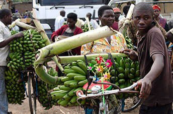 Uganda