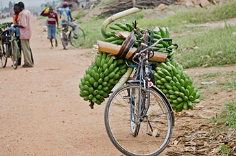 Uganda