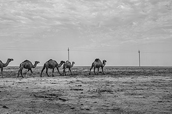 Uzbekistan