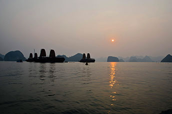 Vietnam