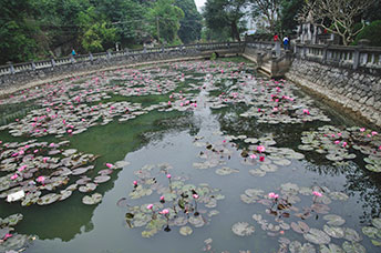 Vietnam