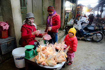 Vietnam