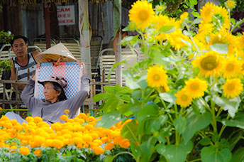 Vietnam