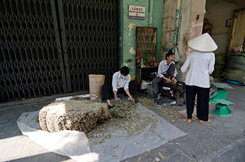Vietnam