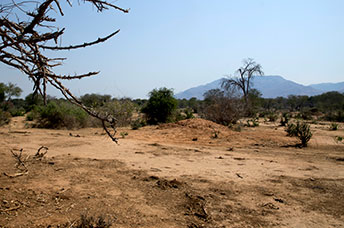 Zambia