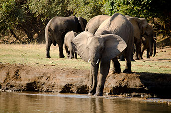Zambia