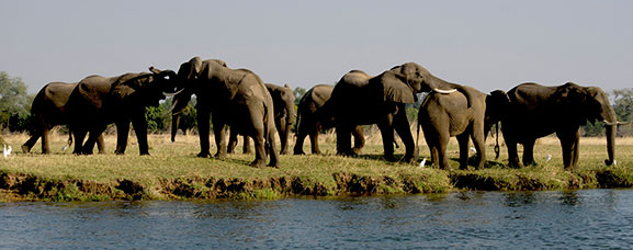 Zambia