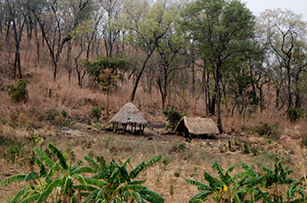 Zambia
