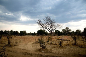 Zambia