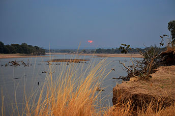 Zambia