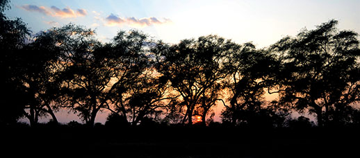 Zambia