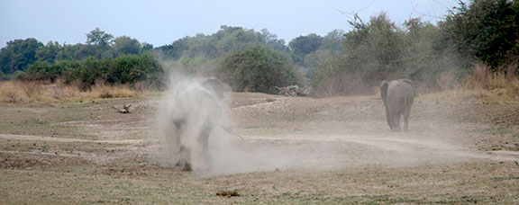 Zambia