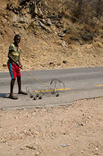 Zambia