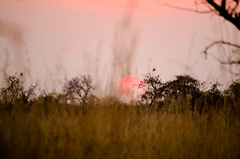 Zambia