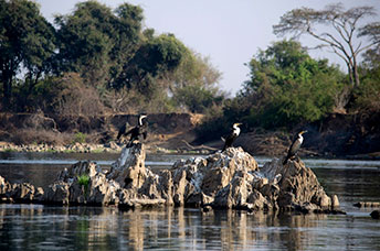 Zambia