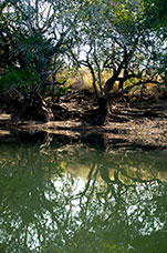 Zambia