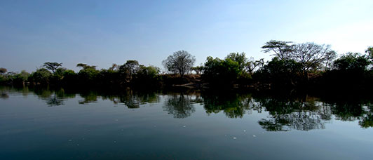 Zambia