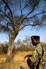 Zambia